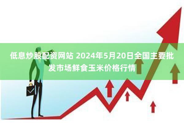 低息炒股配资网站 2024年5月20日全国主要批发市场鲜食玉米价格行情