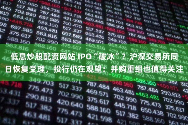 低息炒股配资网站 IPO“破冰”？沪深交易所同日恢复受理