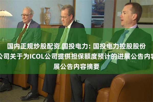 国内正规炒股配资 国投电力: 国投电力控股股份有限公司关