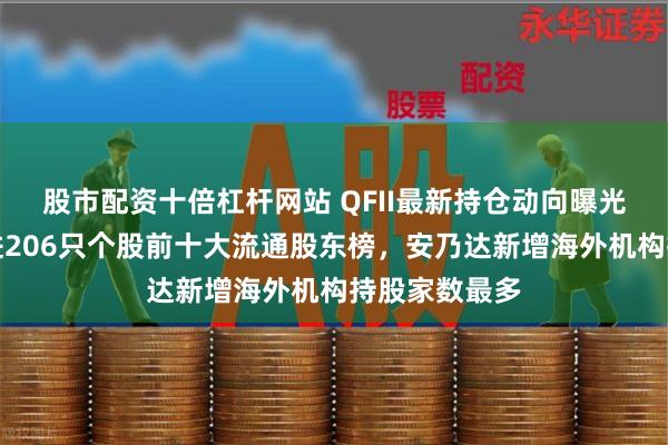 股市配资十倍杠杆网站 QFII最新持仓动向曝光：三季度新进206只个股前十大流通股东榜，安乃达新增海外机构持股家数最多