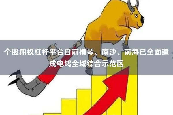 个股期权杠杆平台目前横琴、南沙、前海已全面建成电鸿全域综合示范区