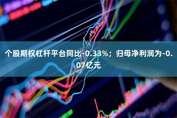 个股期权杠杆平台同比-0.33%；归母净利润为-0.07亿元